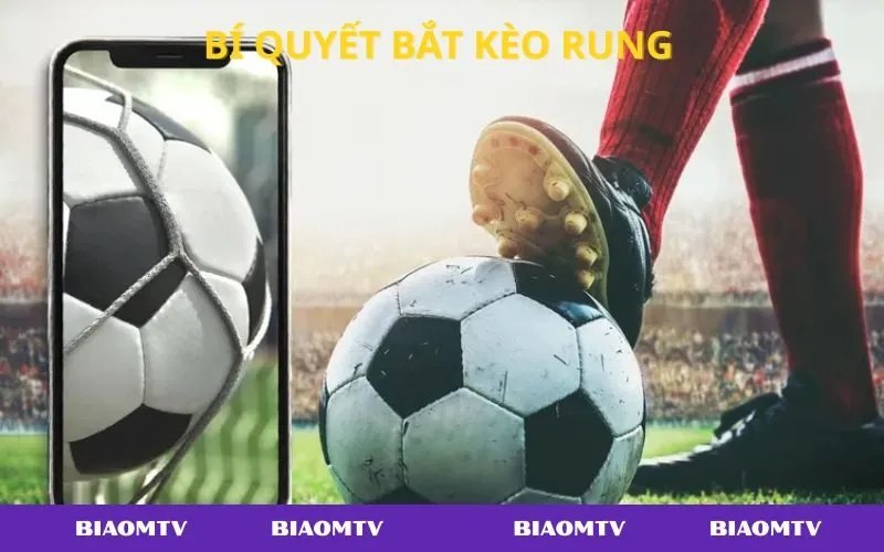 Kinh nghiệm chơi kèo rung giúp người chơi thắng đều và kiểm soát rủi ro.