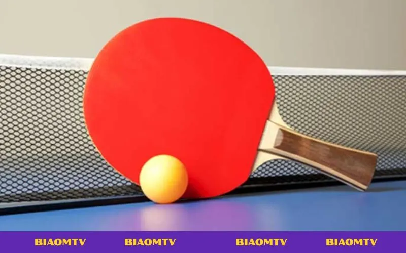 Giới thiệu cá cược bóng bàn, trò chơi thể thao hấp dẫn với tỷ lệ ăn cao.