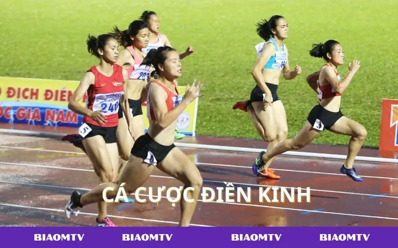 Kinh nghiệm soi kèo điền kinh giúp người chơi thắng nhanh và an toàn.