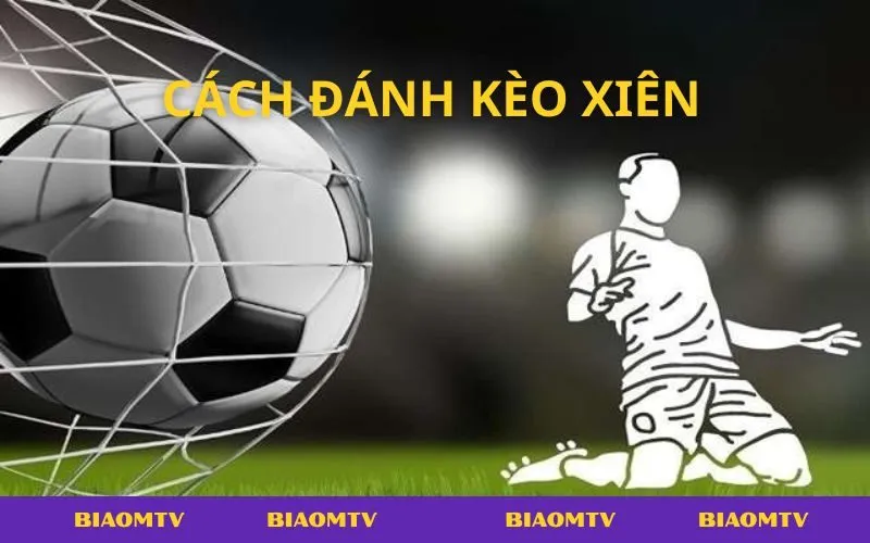 Kinh nghiệm chơi kèo xiên giúp người mới tăng tỷ lệ thắng cược.