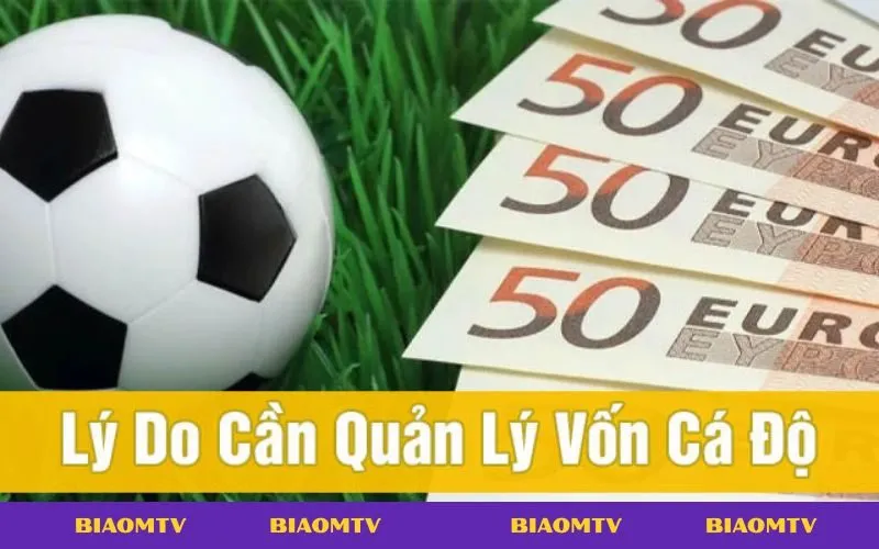 Người chơi áp dụng chiến lược quản lý vốn cá cược để tối ưu lợi nhuận.