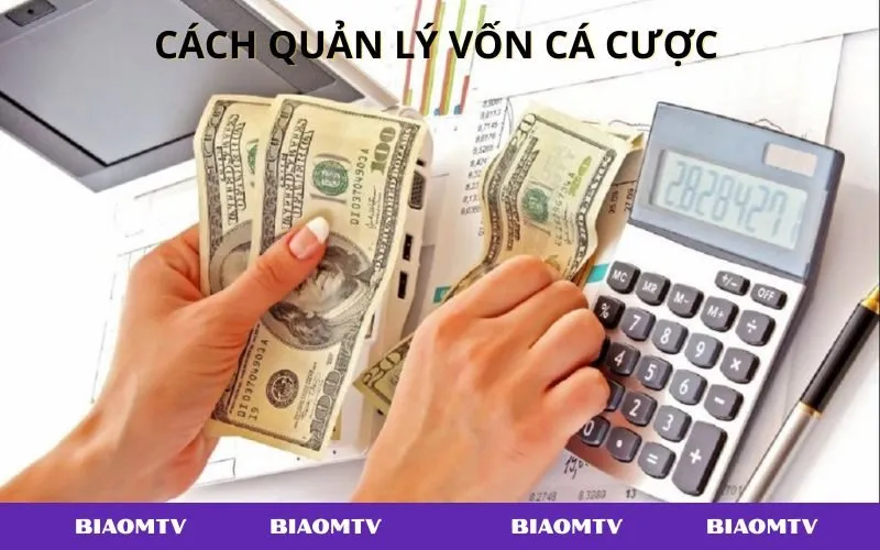 Hướng dẫn quản lý vốn cá cược cho người mới bắt đầu tham gia.