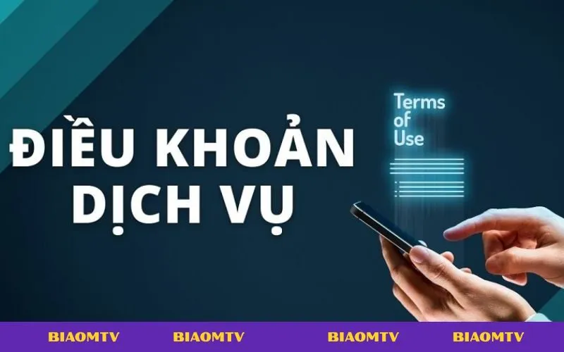 Quy định sử dụng BiaoMTV