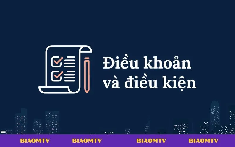 Điều khoản và điều kiện sử dụng BiaoMTV