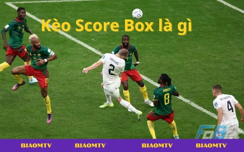 Kinh nghiệm soi kèo Score Box giúp người chơi thắng nhanh và tối ưu lợi nhuận.