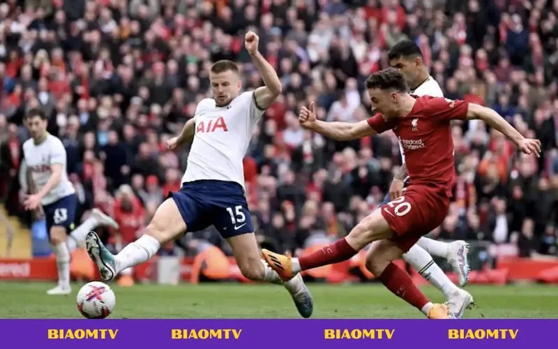 Kết quả bóng đá BiaoMTV