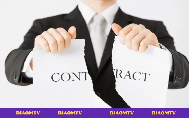 Điều khoản miễn trừ BiaoMTV