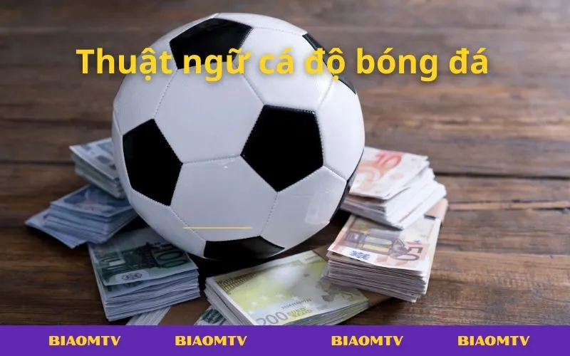 Danh sách thuật ngữ cá độ bóng đá thông dụng dành cho cược thủ chuyên nghiệp.